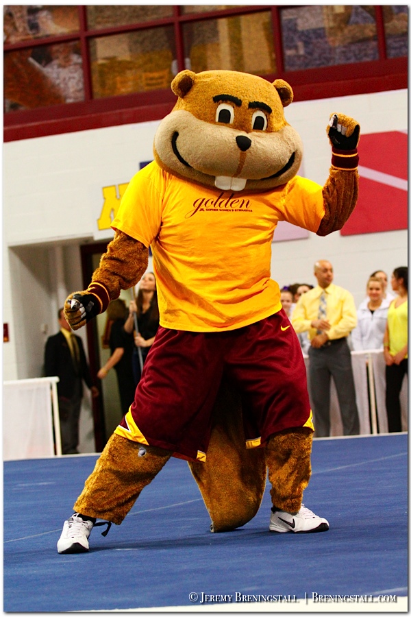 goldy gopher stuffed animal